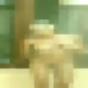 Photo privée de Sibylle, 44 ans à Genouilly - plan discret