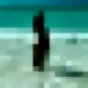Belle Cindy, 36 ans à Germigny-l'Évêque - la contacter