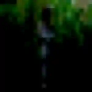 Photo de Hortense à Girolles (33 ans) - plan cul anonyme