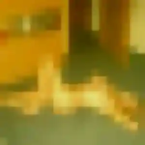 Photo exclusive de Zina, 41 ans à Grimaud - rencontre coquine