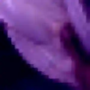 Daniela, 35 ans, en ligne à Grosseto-Prugna pour une rencontre coquine