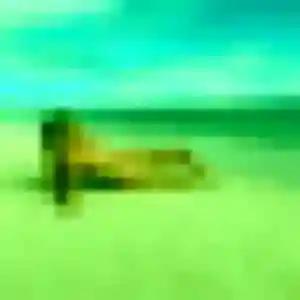Belle Joanne, 39 ans à Guîtres - voir sa photo