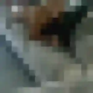 Alicia, 30 ans, dispo pour plan cul à Gurmençon