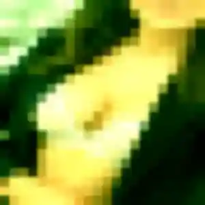 Profil de Flavie à Halluin (32 ans) - plan cul gratuit