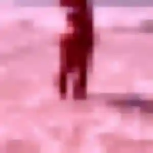 Brune, 29 ans, en ligne à Harcourt pour une rencontre coquine