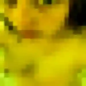 Photo perso de Elsa, 42 ans à Héric - plan discret