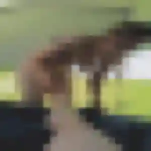 Photo de Faustine à Houppeville (36 ans) - plan cul gratuit