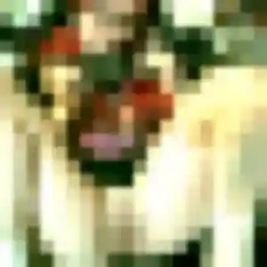 Zelda de Huelgoat, 38 ans - plan cul discret