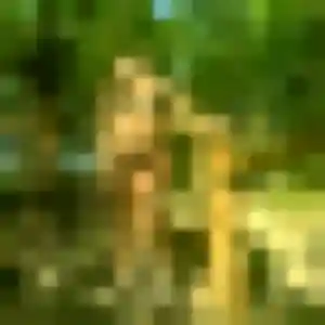 Photo de Josiane à Hunspach (27 ans) - plan cul anonyme