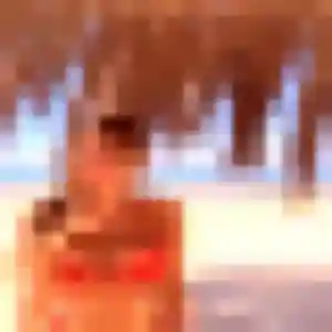 Découvre Jihane, 39 ans à Illiers-l'Évêque en privé