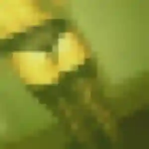Gilberte, femme de 45 ans cherche plan cul à Joué-en-Charnie