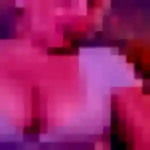 Sibylle, 37 ans, connectée à Kersaint-Plabennec pour une rencontre coquine