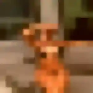 Photo de Eleonore à Killem (45 ans) - plan cul anonyme