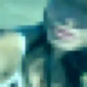 Photo sexy de Ketty, 30 ans à Kœnigsmacker - rencontre sans lendemain