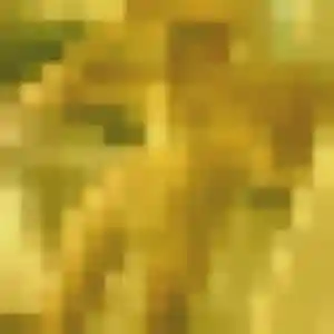 plan cul à L'Absie : photo de Flavie, 25 ans - accès libre