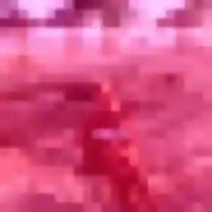 Maya, 43 ans, connectée à La Bassée pour une rencontre coquine