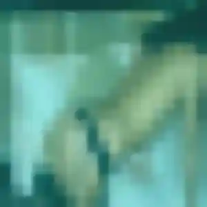Whitney, femme de 43 ans cherche plan cul à La Bourboule