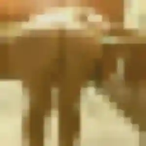 Daphne, femme de 35 ans propose plan cul à La Chevallerais