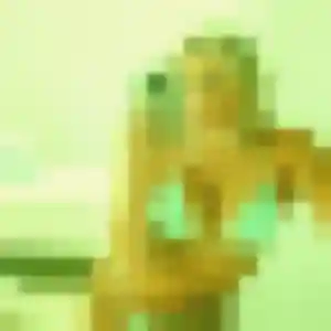 Profil de Daphne à La Drenne (41 ans) - plan cul sans inscription