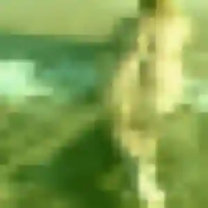 Constance, femme de 29 ans cherche plan cul à La Ferté-sous-Jouarre