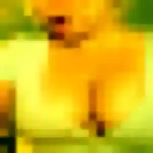 Clarisse, 36 ans, dispo pour plan cul à La Loupe
