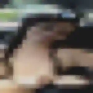 Oriane, fille de 23 ans cherche plan cul à La Tour-d'Aigues