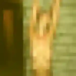 Belle Harmony, 32 ans à La Vôge-les-Bains - la contacter