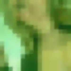 Belle Jeanne, 41 ans à Laissaud - la contacter