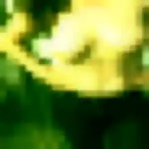 Idalina, 33 ans, en ligne à Larringes pour une rencontre coquine