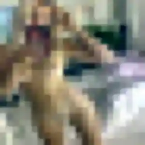 Sexy Ava, 22 ans à Le Born - la contacter