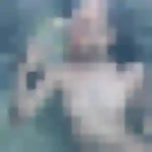 Photo de Yvonne à Le Bugue (34 ans) - plan cul discret