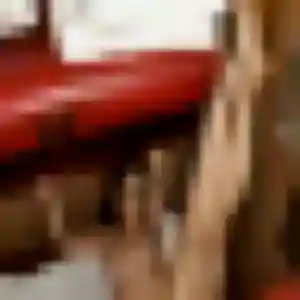 Photo de Alienor à Le Mas-d'Agenais (31 ans) - plan cul discret