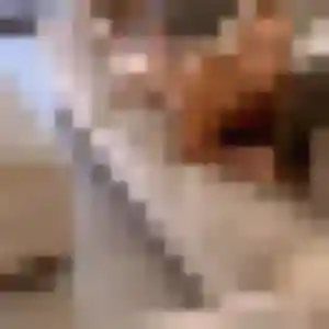 Photo privée de Emma, 33 ans à Le Robert - rencontre coquine