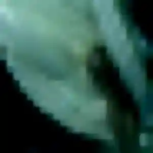 plan cul à Le Sourn : photo de Clara, 35 ans - accès libre