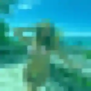 Photo perso de Zelda, 38 ans à Le Teich - plan discret