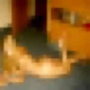 Zoe, 40 ans, disponible à Le Trévoux pour une rencontre coquine