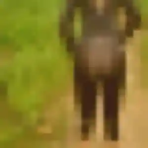 Photo de Fleur à Lennon (24 ans) - plan cul gratuit