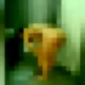 Photo privée de Yael, 22 ans à Les Granges-le-Roi - rencontre coquine