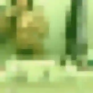 Dina, 35 ans, connectée à Les Pineaux pour une rencontre coquine