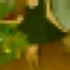 Louisa (23 ans) à Les Touches cherche une rencontre aujourd'hui