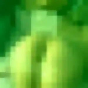 Contacte Faustine, 43 ans à Lessay gratuitement