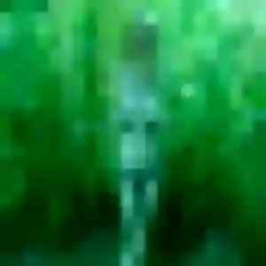 Anastasia (43 ans) à Levie cherche un plan cul ce soir