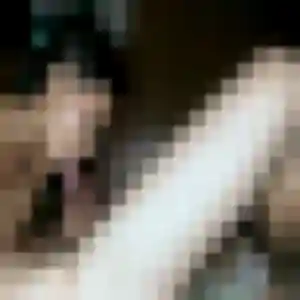 Alexandra, 23 ans, connectée à Lezennes pour une rencontre coquine