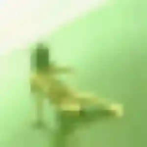 Charline, femme de 43 ans veut plan cul à Lézinnes