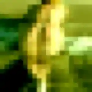 Sara, 34 ans, disponible à Limoux pour une rencontre coquine