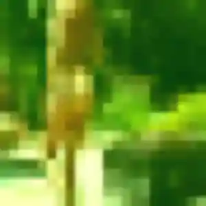 Photo de Imane à Loffre (35 ans) - plan cul discret