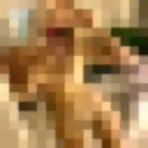 Profil de Leila à Lommoye (29 ans) - plan cul gratuit