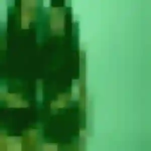 Roxane, 32 ans, connectée à Longeville-lès-Metz pour un plan cul