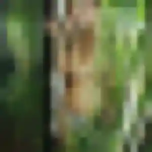 Vicky, 43 ans, dispo pour plan cul à Longues-sur-Mer