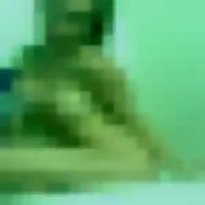 Photo de Alicia à Loos (42 ans) - plan cul sans inscription